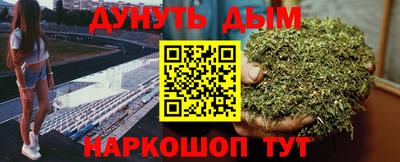 прущие крисы Кингисепп