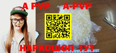 прущие крисы Кингисепп