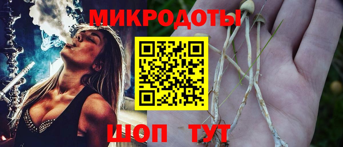 Качканар  Галлюциногенные грибы Magic Shrooms  Вход с VPN 